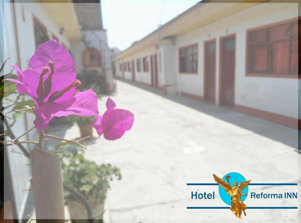 קרטרו Hotel Reforma Inn מראה חיצוני תמונה